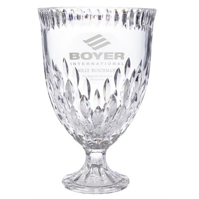 MARIO CIONI Odyssey Award